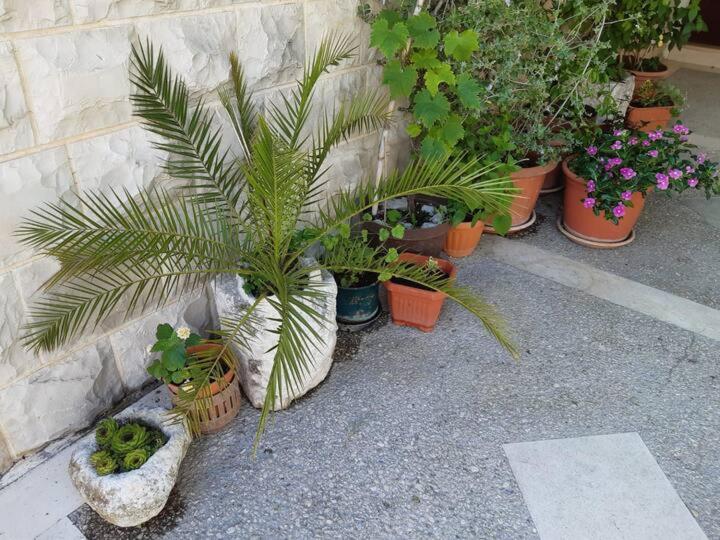 Apartment Biljana بول المظهر الخارجي الصورة